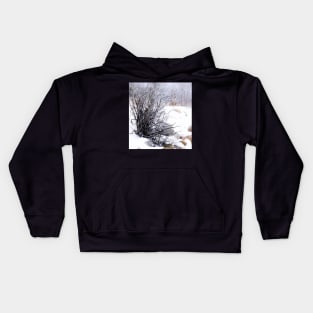 Blizzard scene Kids Hoodie